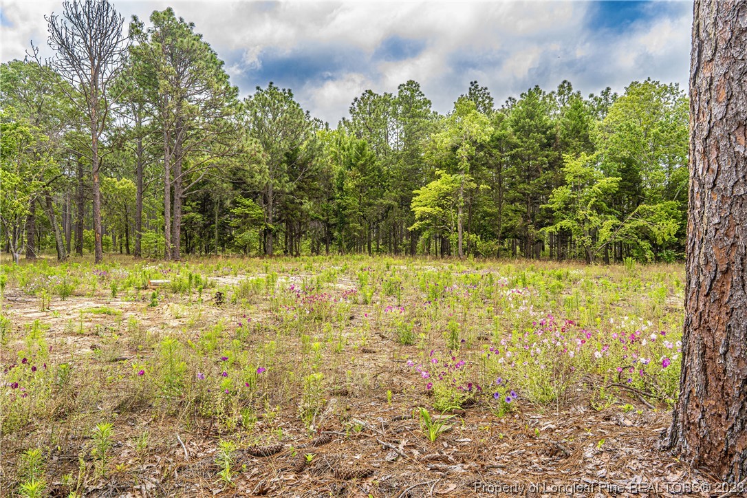721 Furr Road Vass, NC 28394 - Photo 4 of 11 Gallery Image 4
