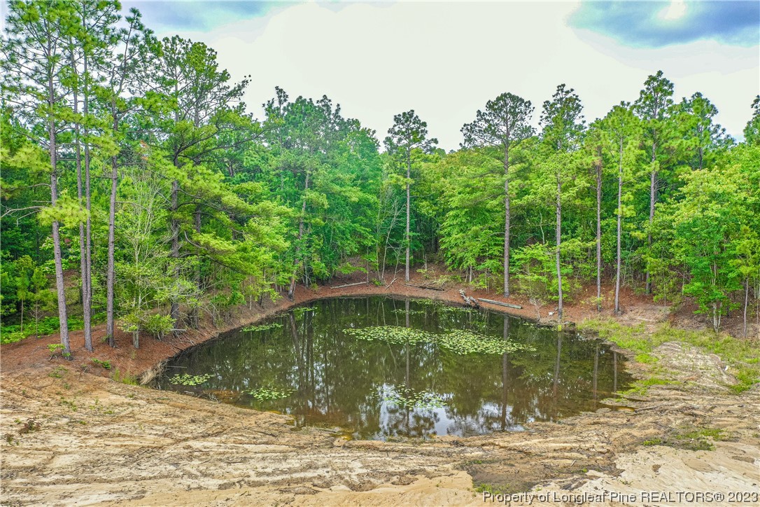 721 Furr Road Vass, NC 28394 - Photo 6 of 11 Gallery Image 6