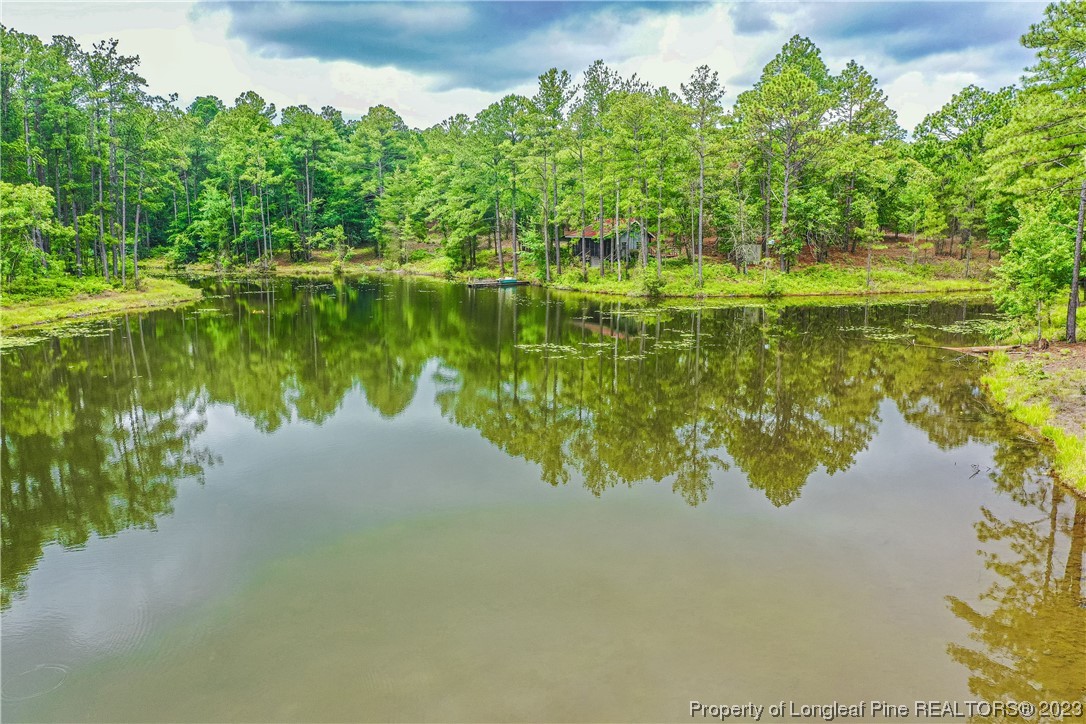 721 Furr Road Vass, NC 28394 - Photo 8 of 11 Gallery Image 8