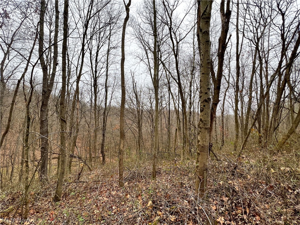 Briar Road Magnolia, OH 44643 - Photo 7 of 22