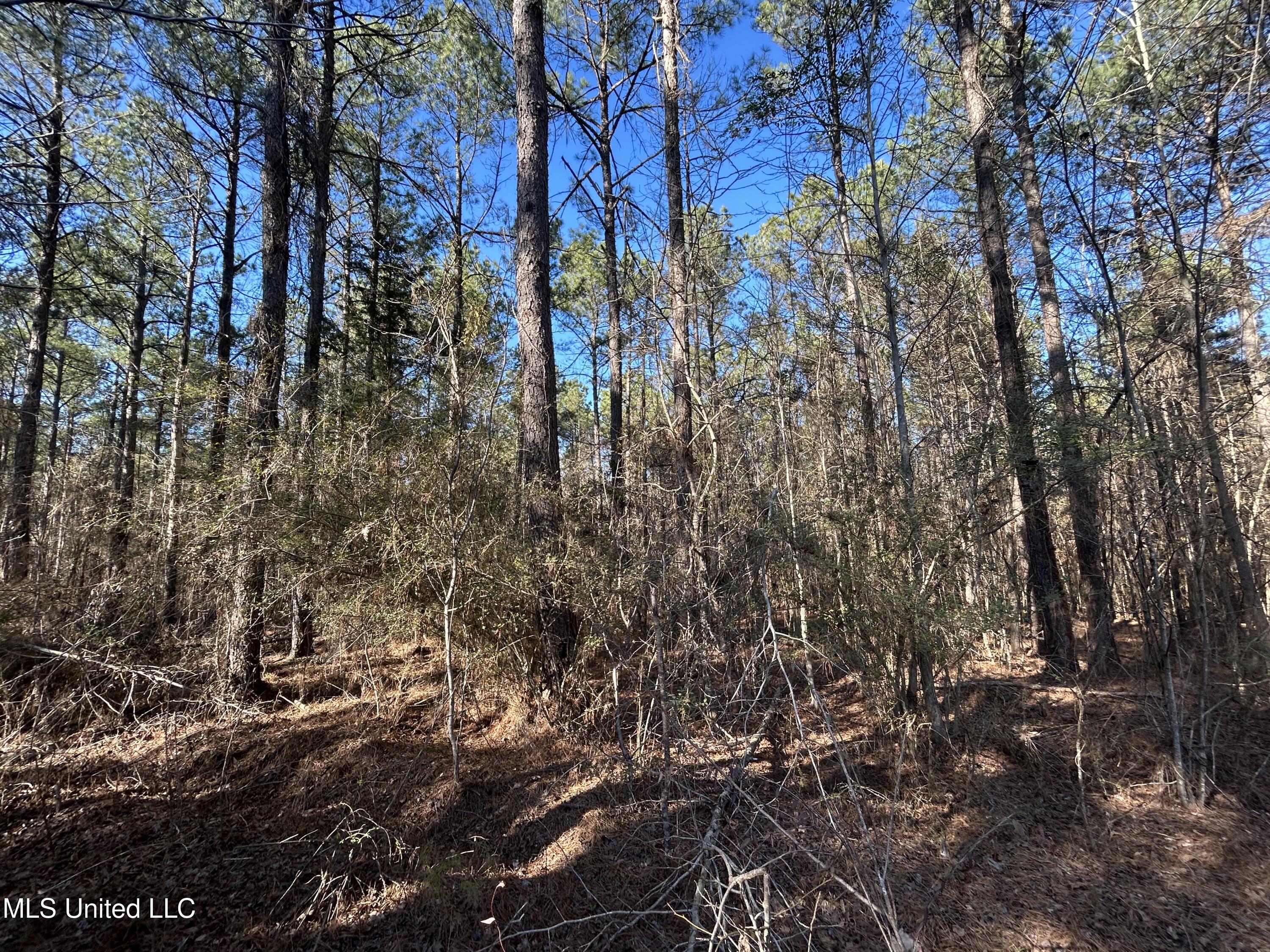 759 Shuqualak Road Preston, MS 39354 - Photo 51 of 57 IMG_1370