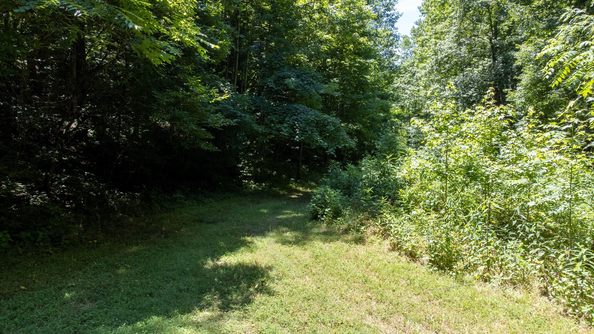 0 Turkey Creek Boat Dock Road Tullahoma, TN 37388 - Photo 15 of 39 a view of a yard