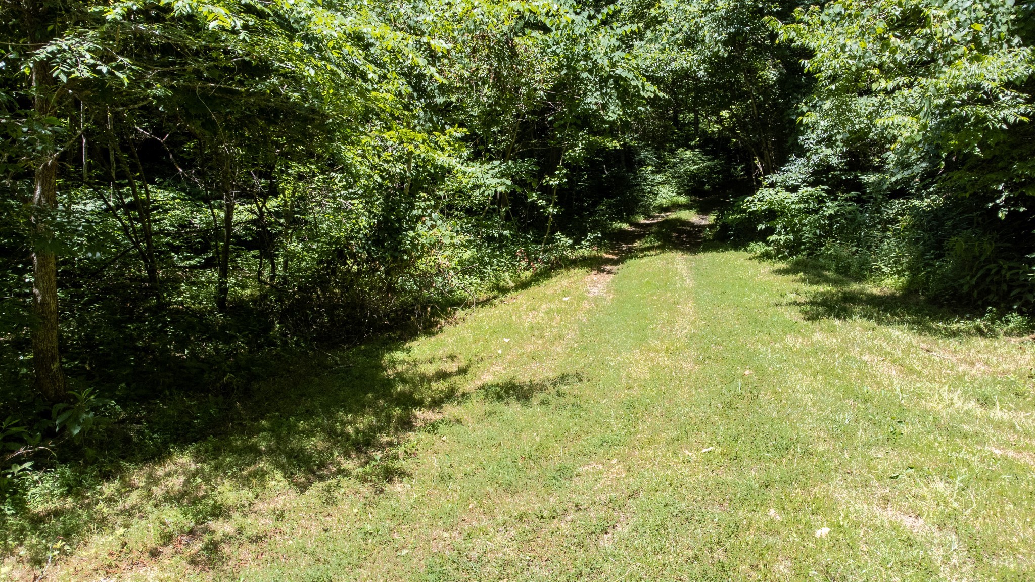 0 Turkey Creek Boat Dock Road Tullahoma, TN 37388 - Photo 16 of 39 a view of lake view