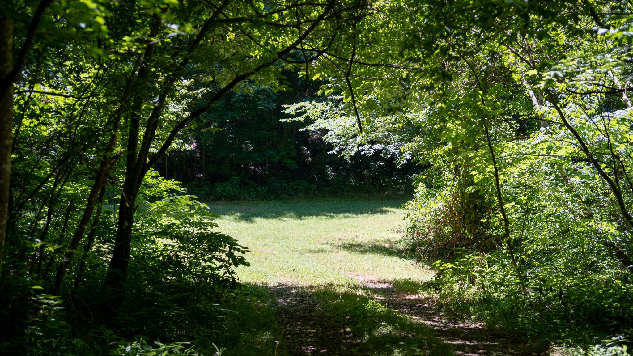 0 Turkey Creek Boat Dock Road Tullahoma, TN 37388 - Photo 27 of 39