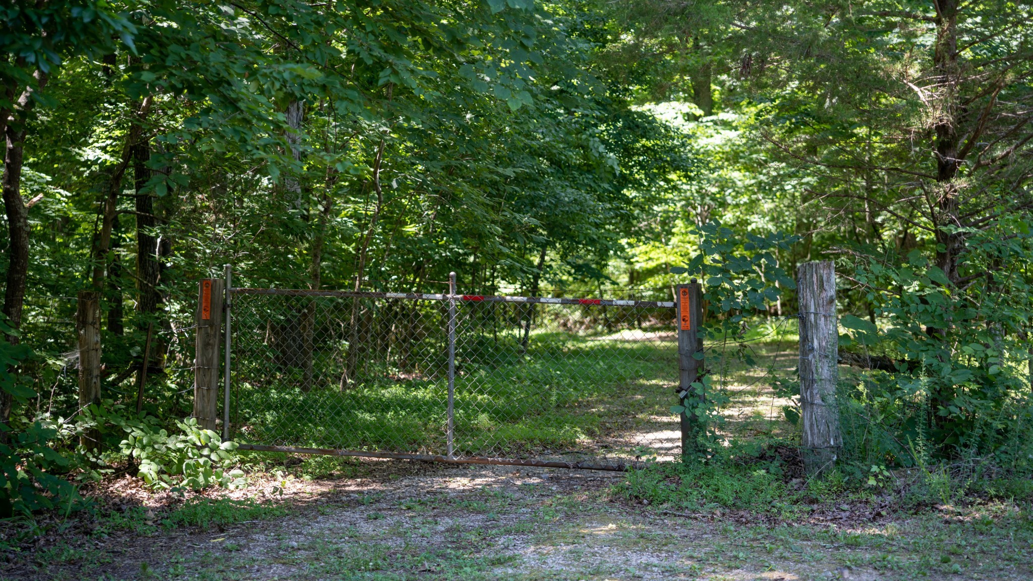 0 Turkey Creek Boat Dock Road Tullahoma, TN 37388 - Photo 35 of 39 a view of a forest