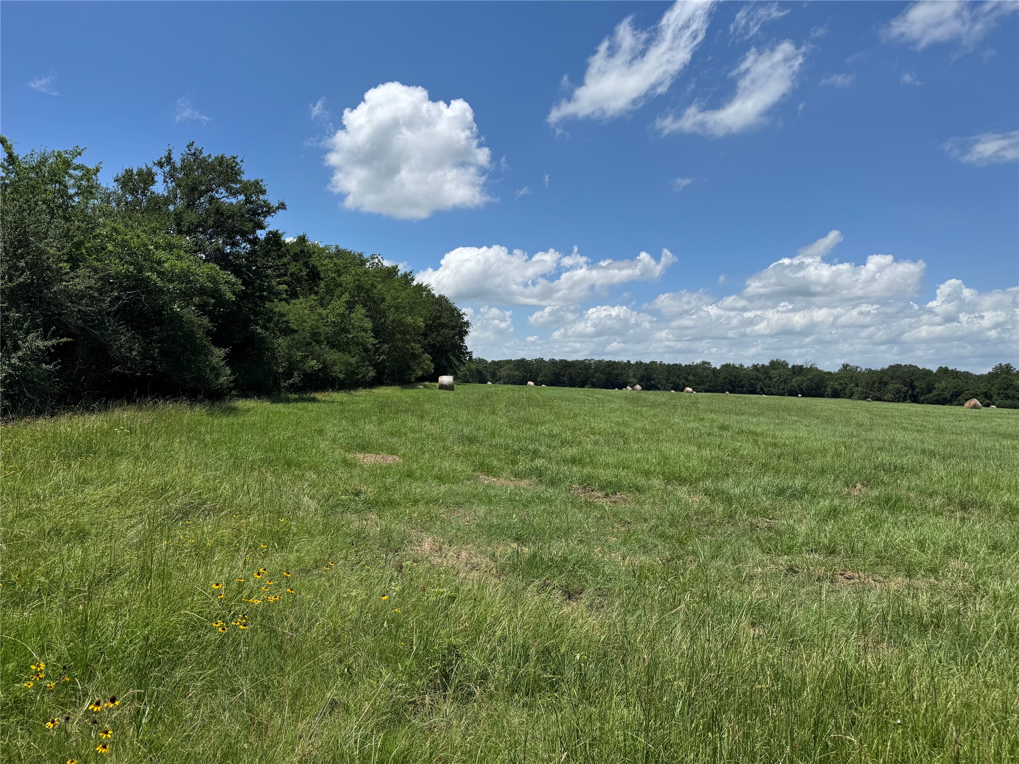 Tbd 18-ac Tbd 18-ac Baker Ridge Road Midway, TX 75852 - Photo 38 of 43