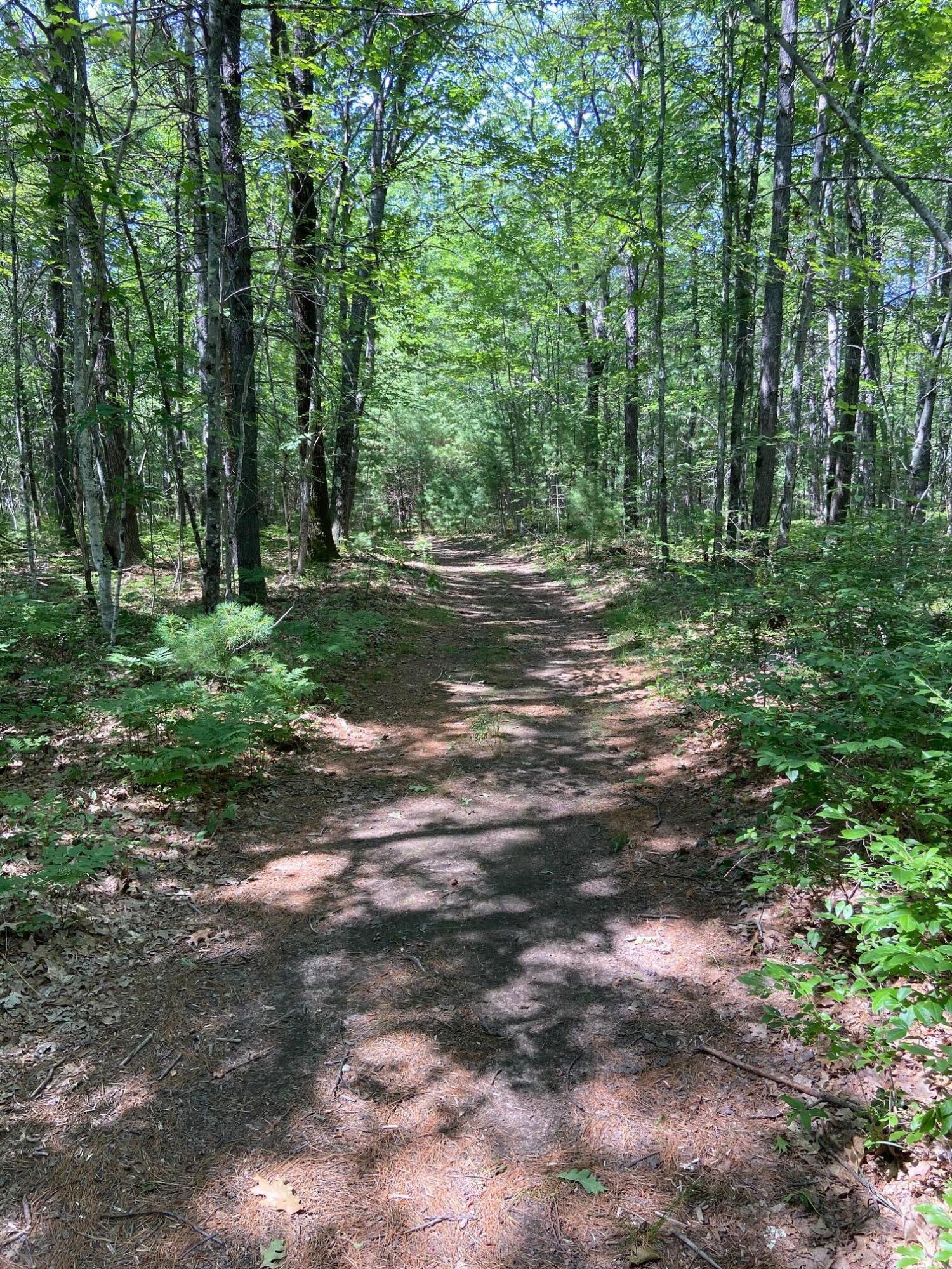 15 Coltons Way Saco, ME 04072 - Photo 7 of 26 61696298592__2182F6B7-DA5F-47AC-896D-F46