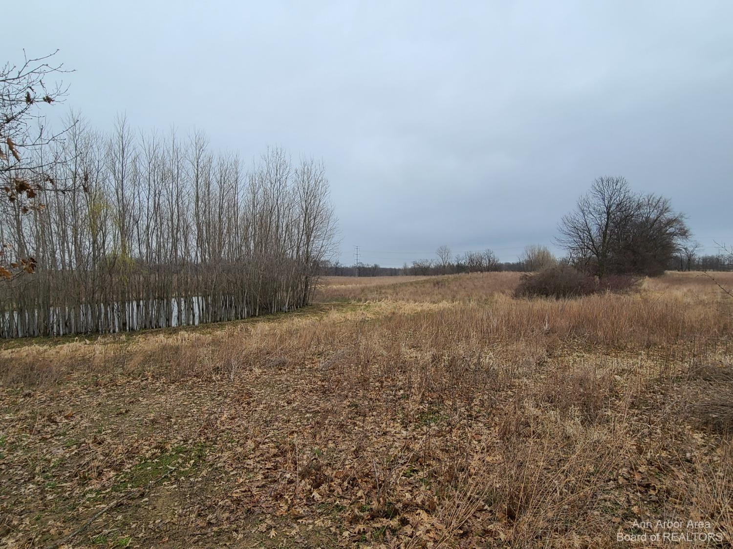 1075 South Lima Center Road Chelsea, MI 48118 - Photo 2 of 6 Photo 2