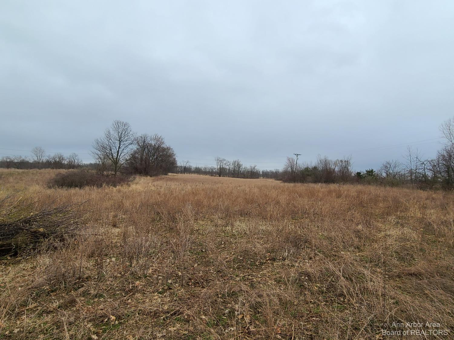 1075 South Lima Center Road Chelsea, MI 48118 - Photo 3 of 6 Photo 3