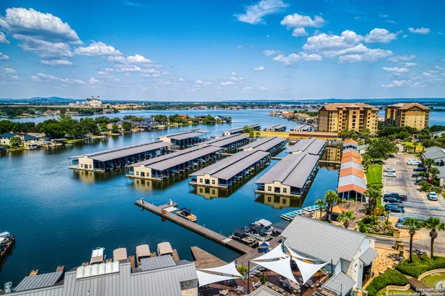 a view of a lake with a lot of flower plants