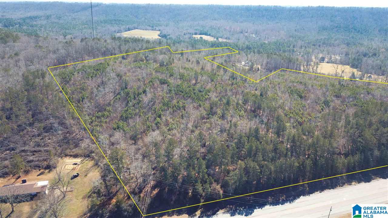 0 Highway 75, Unit 29 38 Oneonta, AL 35121 - Photo 2 of 30