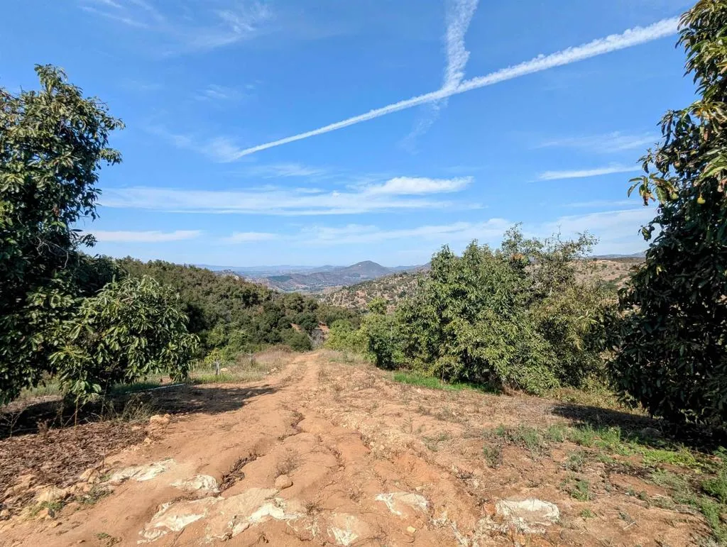 0 Couser Canyon Road Valley Center, CA 92082 - Photo 16 of 32