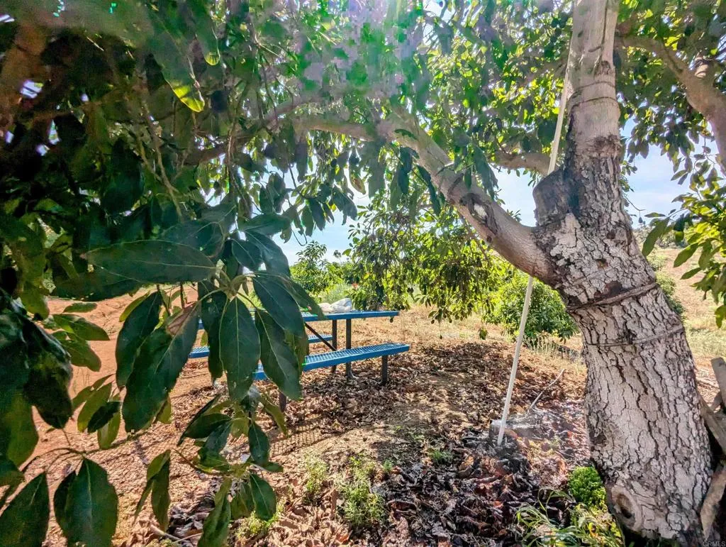 0 Couser Canyon Road Valley Center, CA 92082 - Photo 28 of 32