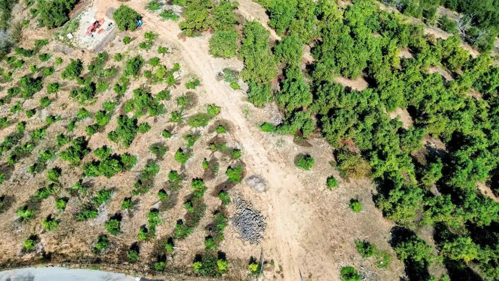 0 Couser Canyon Road Valley Center, CA 92082 - Photo 10 of 32