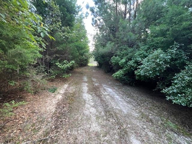 Tba Laird Road Florala, AL 36442 - Photo 17 of 20 Gallery Image 17