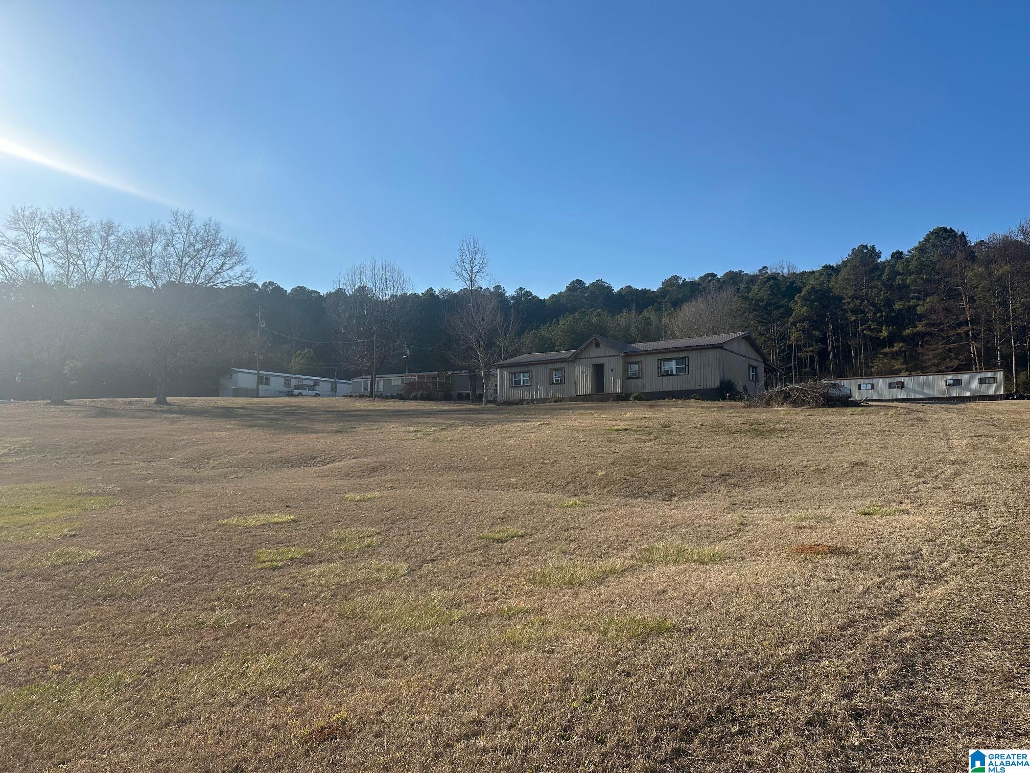 16845 Highway 11 Springville, AL 35146 - Photo 1 of 5
