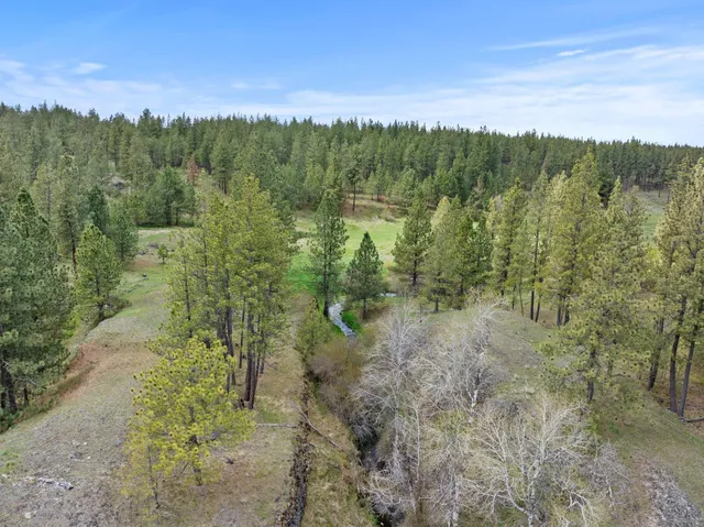 $1,911,000 | Xxxxx Xxxxx Vacant Land, Spangle, WA 99031