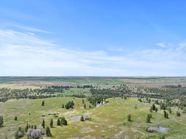 $1,911,000 | Xxxxx Xxxxx Vacant Land, Spangle, WA 99031