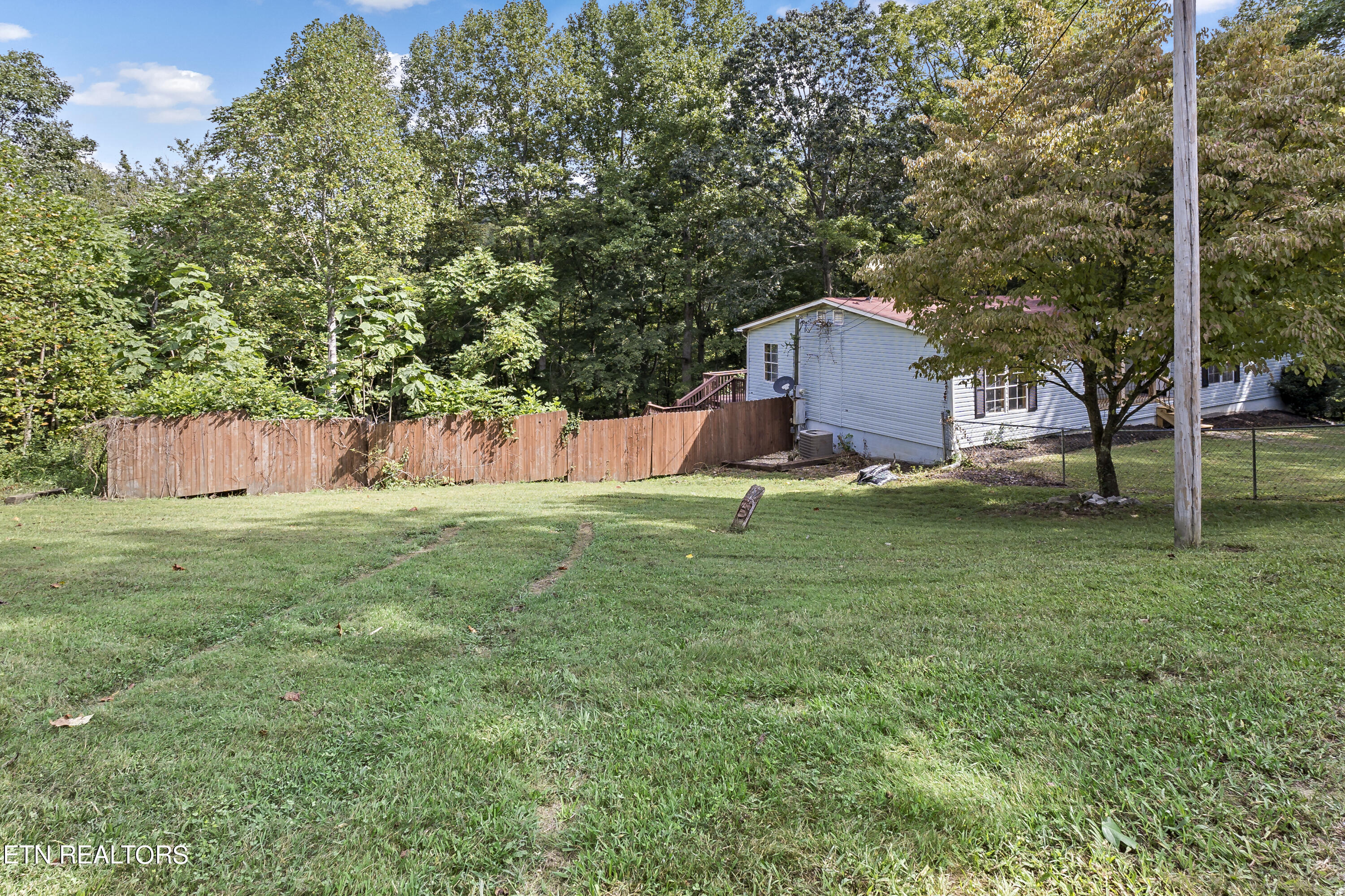 1851 Chestnut Stump Road La Follette, TN 37766 - Photo 53 of 57 Side front yard