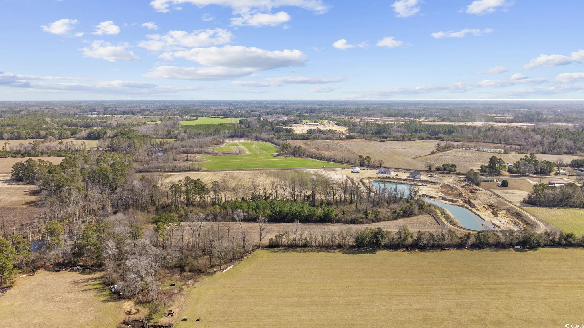 Tbd Gurley Road Loris, SC 29569 - Photo 13 of 22