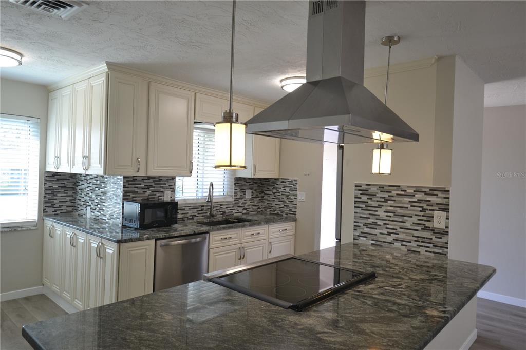 746 Barbara Street Palm Harbor, FL 34684 - Photo 27 of 54 a kitchen with granite countertop a sink stainless steel appliances and cabinets