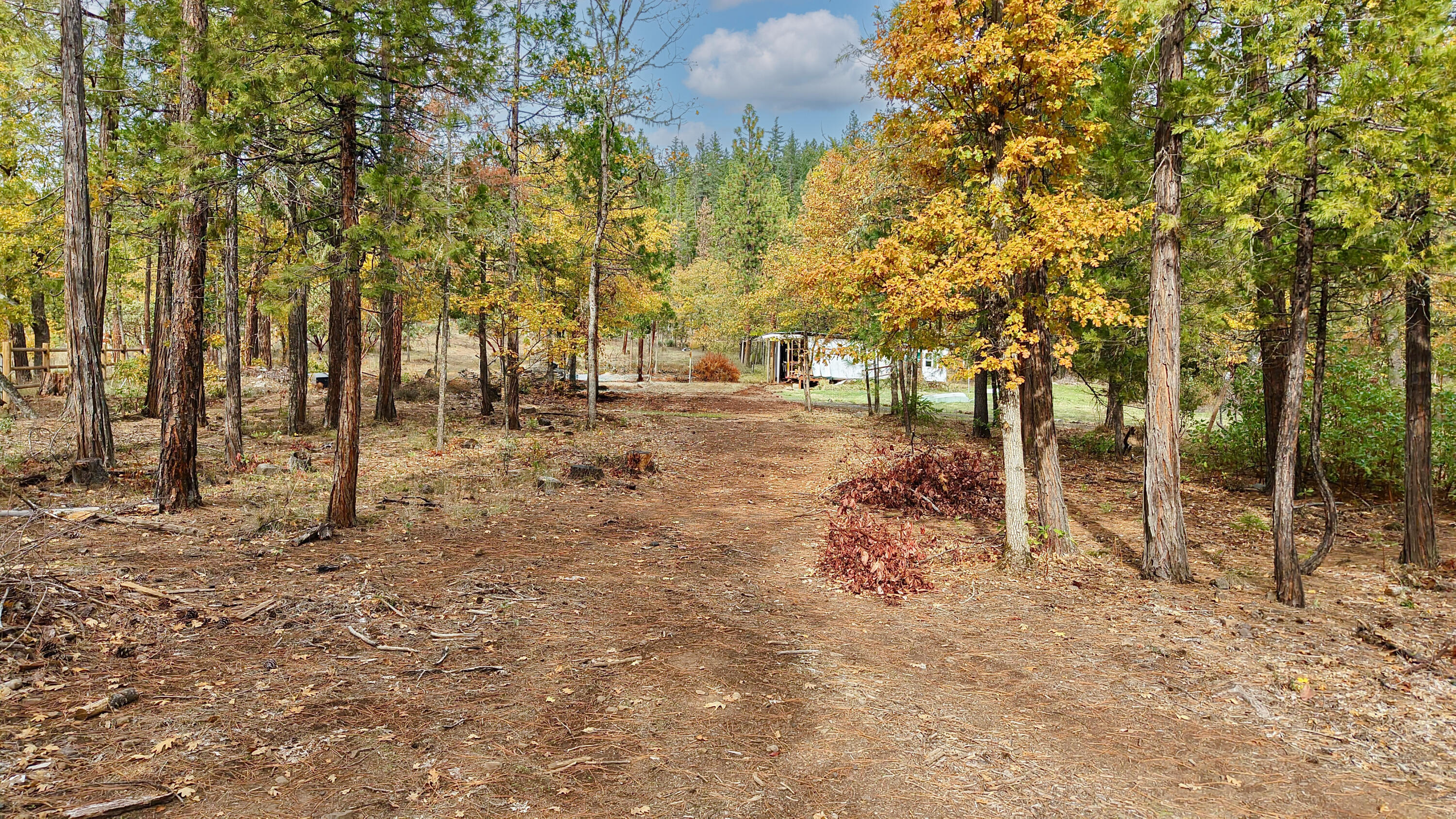 121 Horse Ranch Road Prospect, OR 97536 - Photo 15 of 21 Property