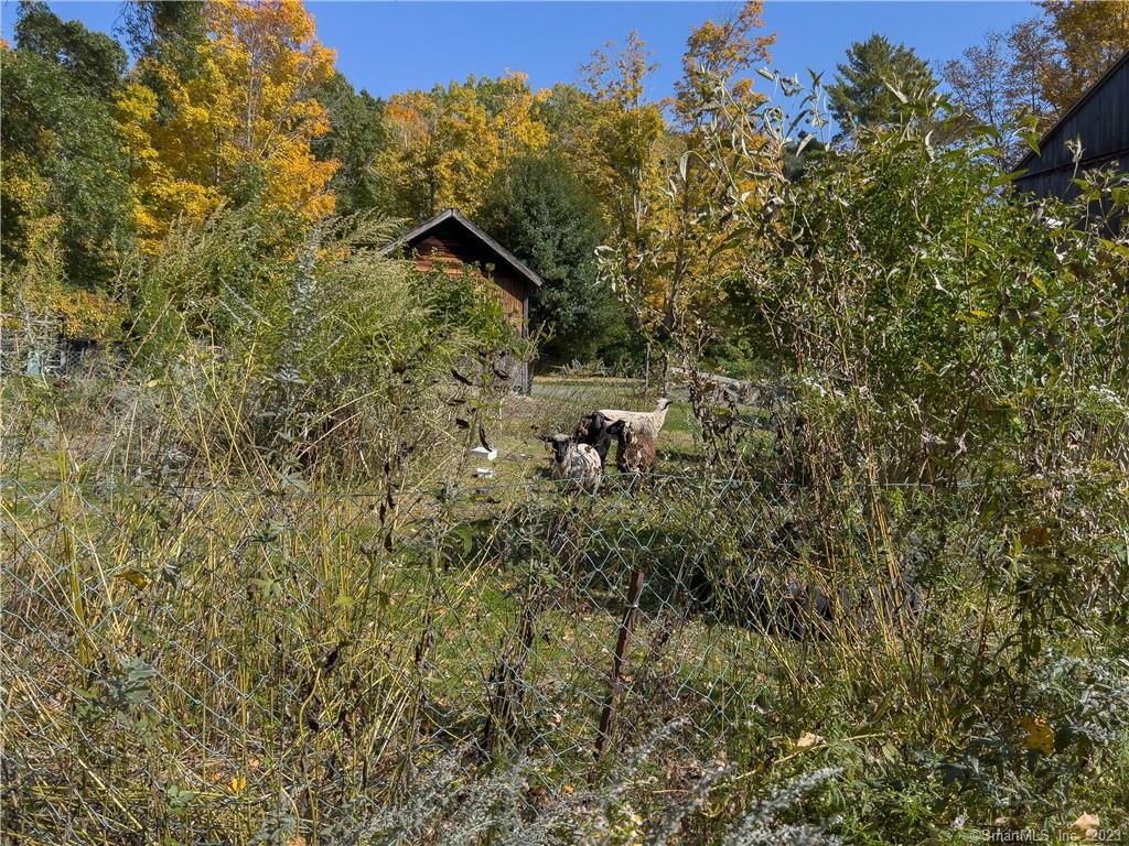 81 Currituck Road Newtown, CT 06470 - Photo 34 of 40