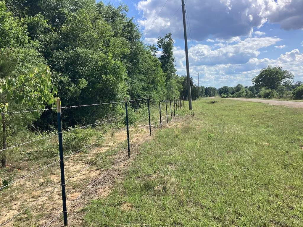 291 Young Road Box Springs, GA 31801 - Photo 14 of 22 a view of a park