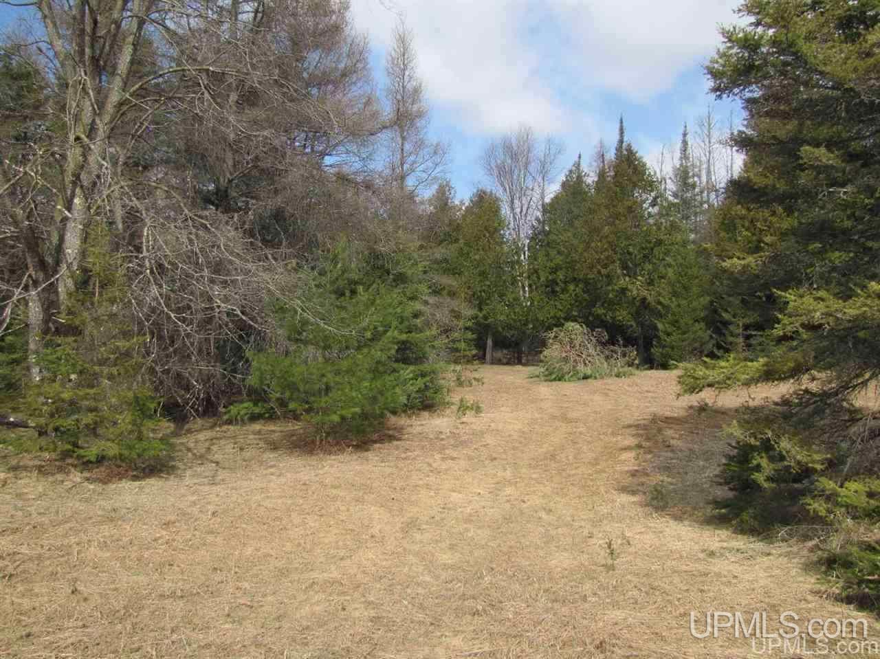 2690 West Co Road Daggett, MI 49821 - Photo 9 of 10
