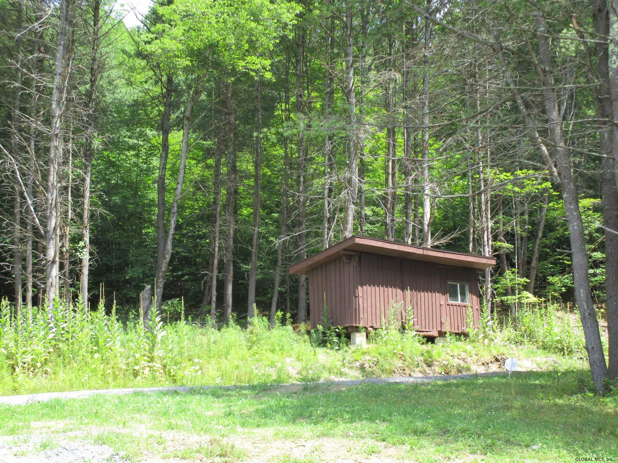 177 Rebel Ridge Road Jefferson, NY 12093 - Photo 8 of 37 Photo 8