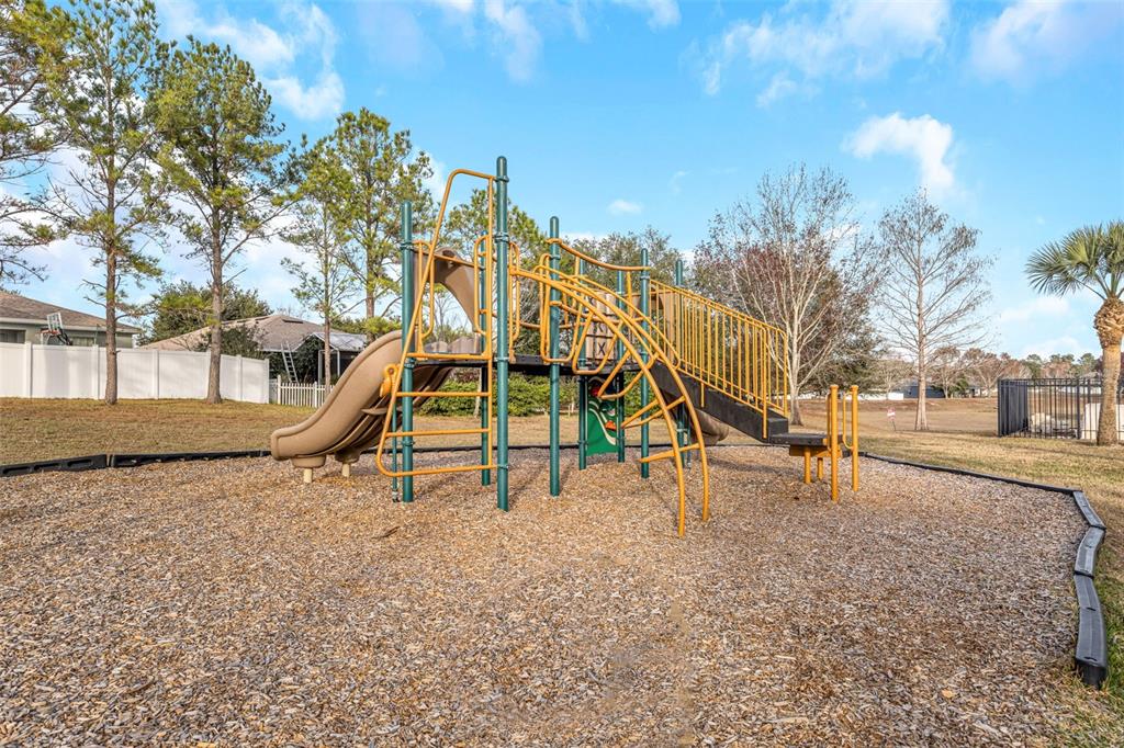 8635 Pinetop Ridge Lane Brooksville, FL 34613 - Photo 97 of 98