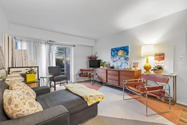 a living room with furniture rug and window