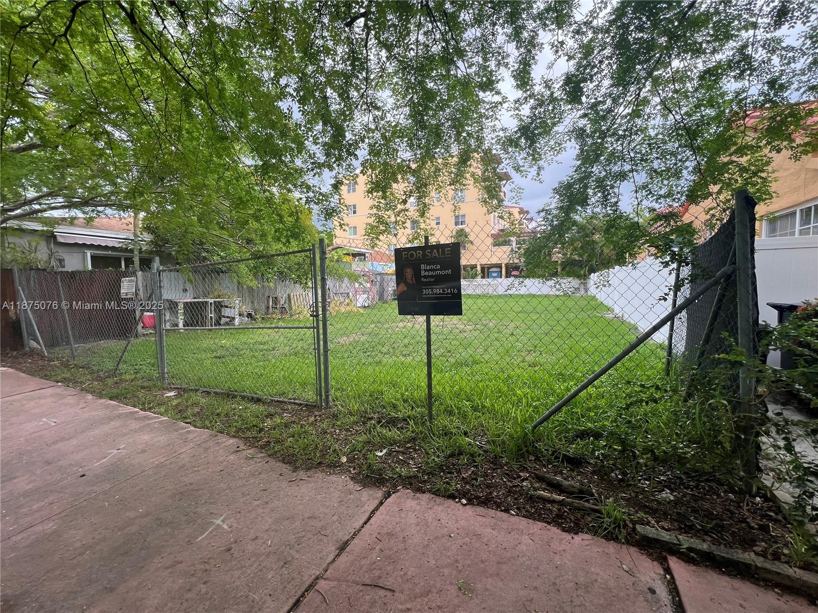 a view of a back yard