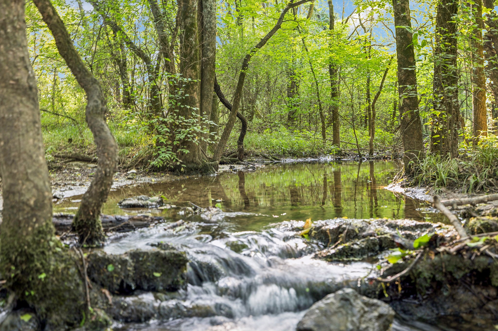 1485 Harrison Road Murfreesboro, TN 37128 - Photo 88 of 92