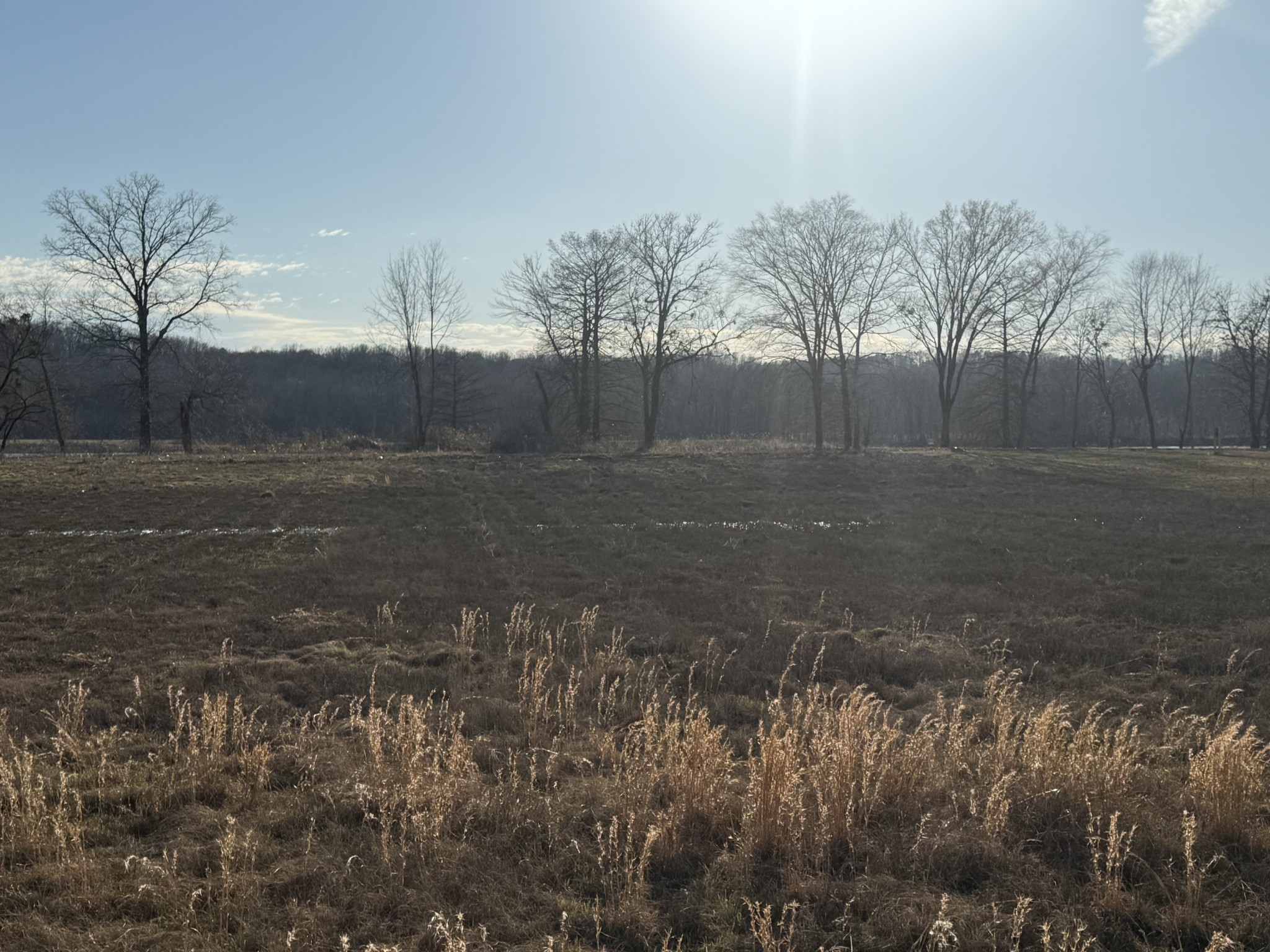 425 Hardin Btm Road Clifton, TN 38425 - Photo 12 of 20 a view of a big yard