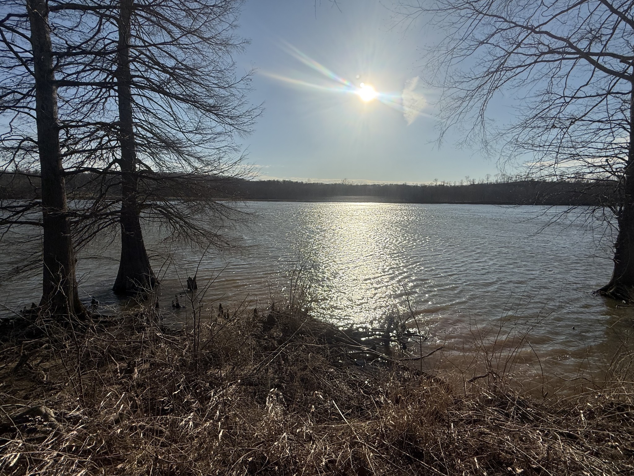 425 Hardin Btm Road Clifton, TN 38425 - Photo 14 of 20 a view of lake