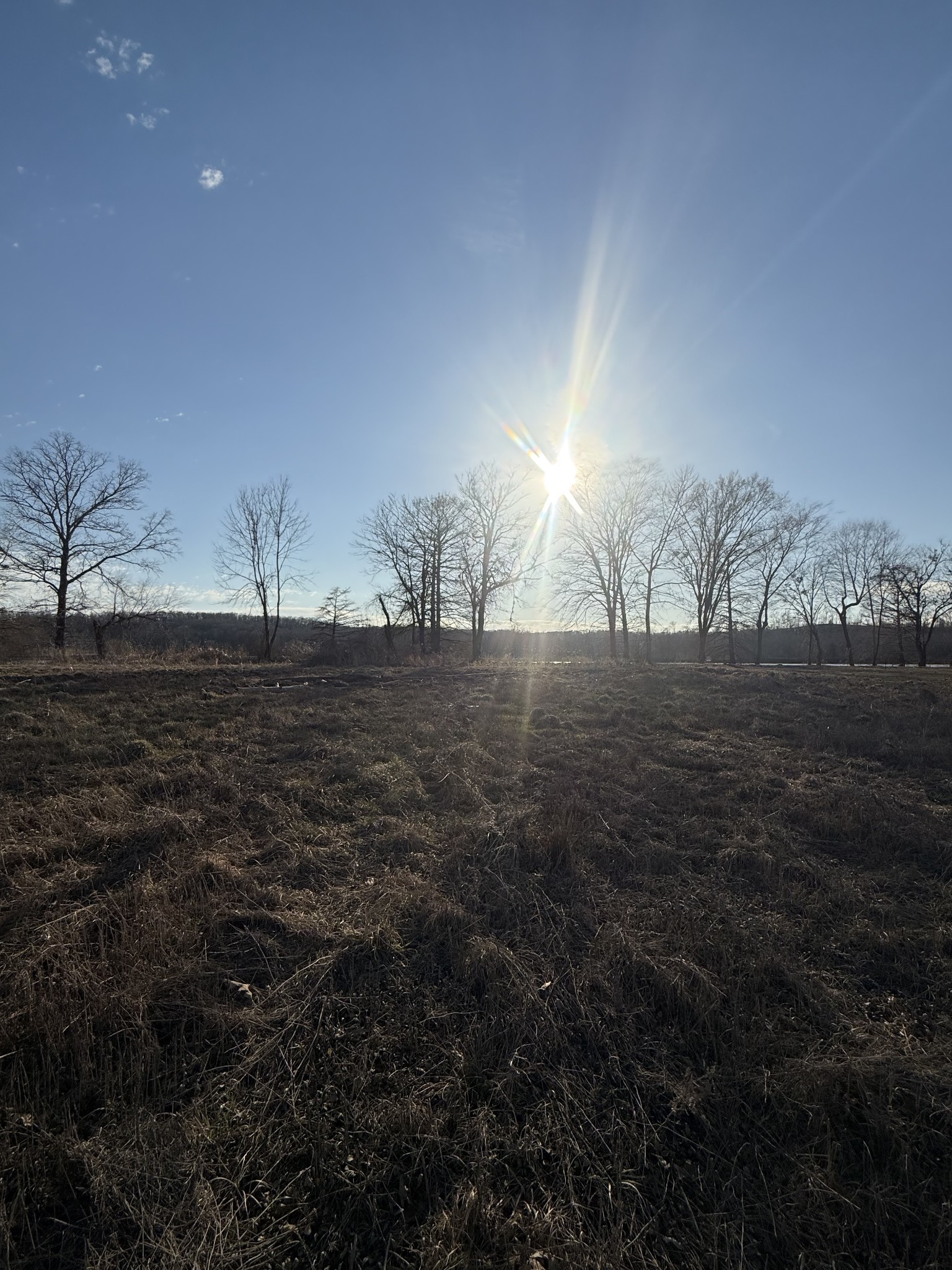 425 Hardin Btm Road Clifton, TN 38425 - Photo 15 of 20 a view of dirt field