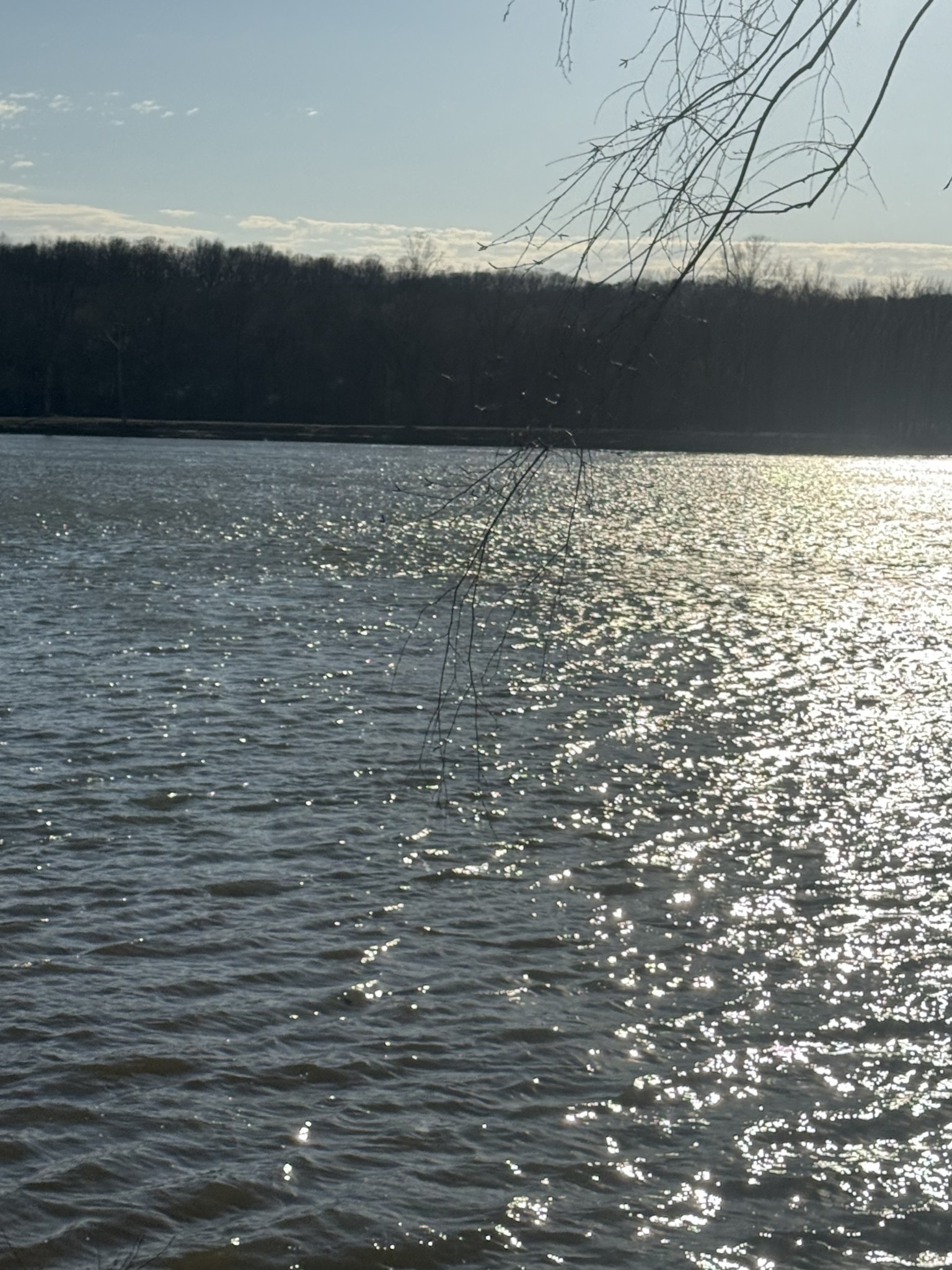 425 Hardin Btm Road Clifton, TN 38425 - Photo 3 of 20