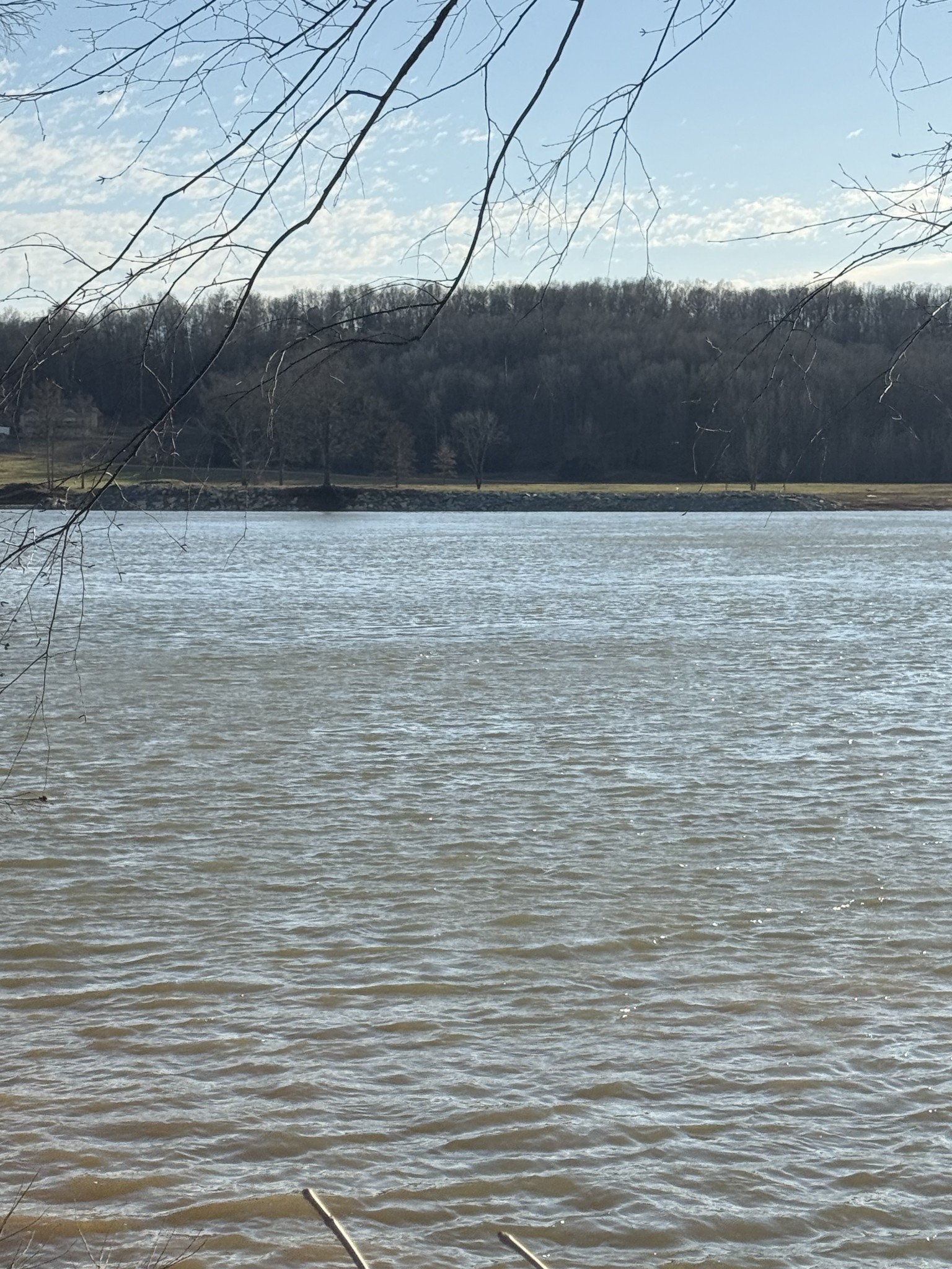 425 Hardin Btm Road Clifton, TN 38425 - Photo 4 of 20 a view of a lake