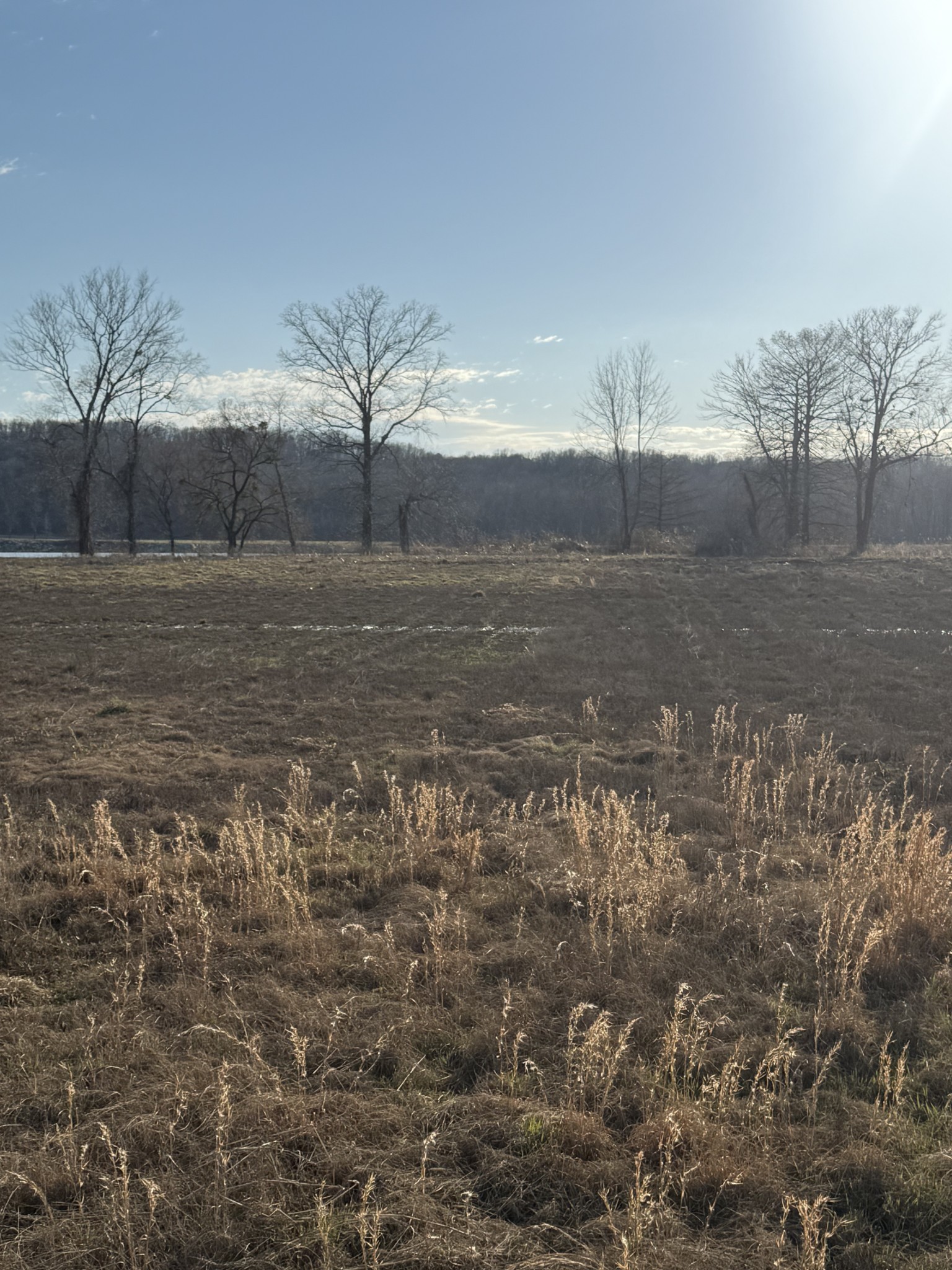 425 Hardin Btm Road Clifton, TN 38425 - Photo 8 of 20