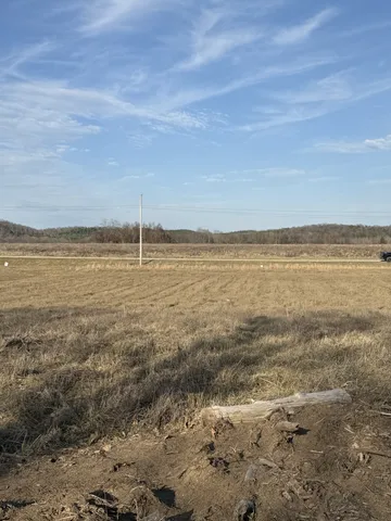 a view of a big yard