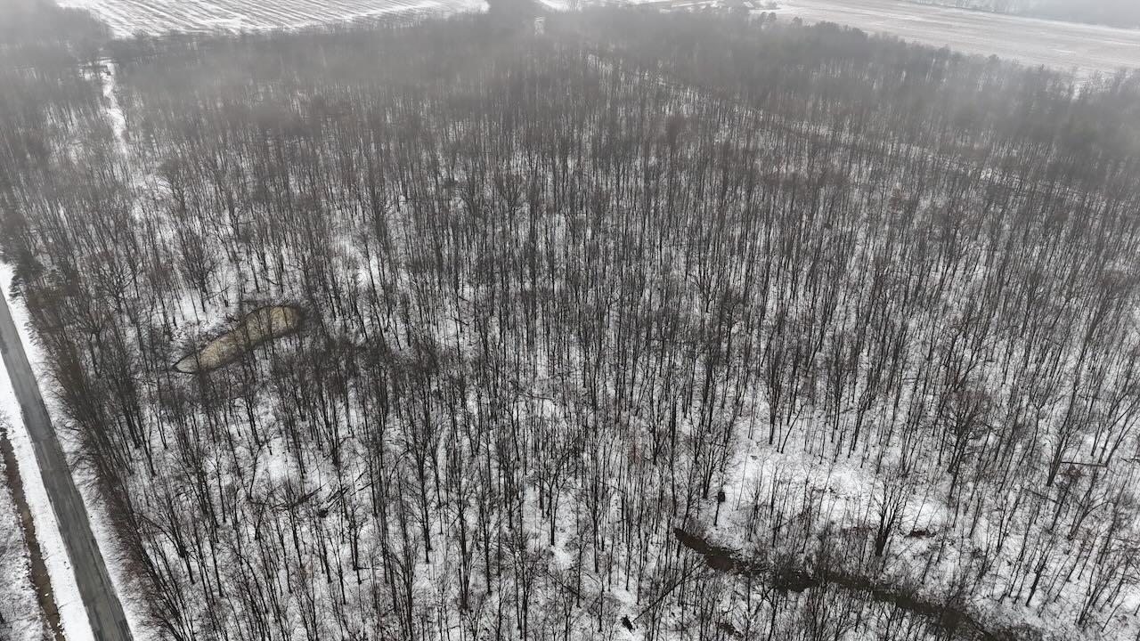 V/l South Chapin Road Elsie, MI 48831 - Photo 3 of 20