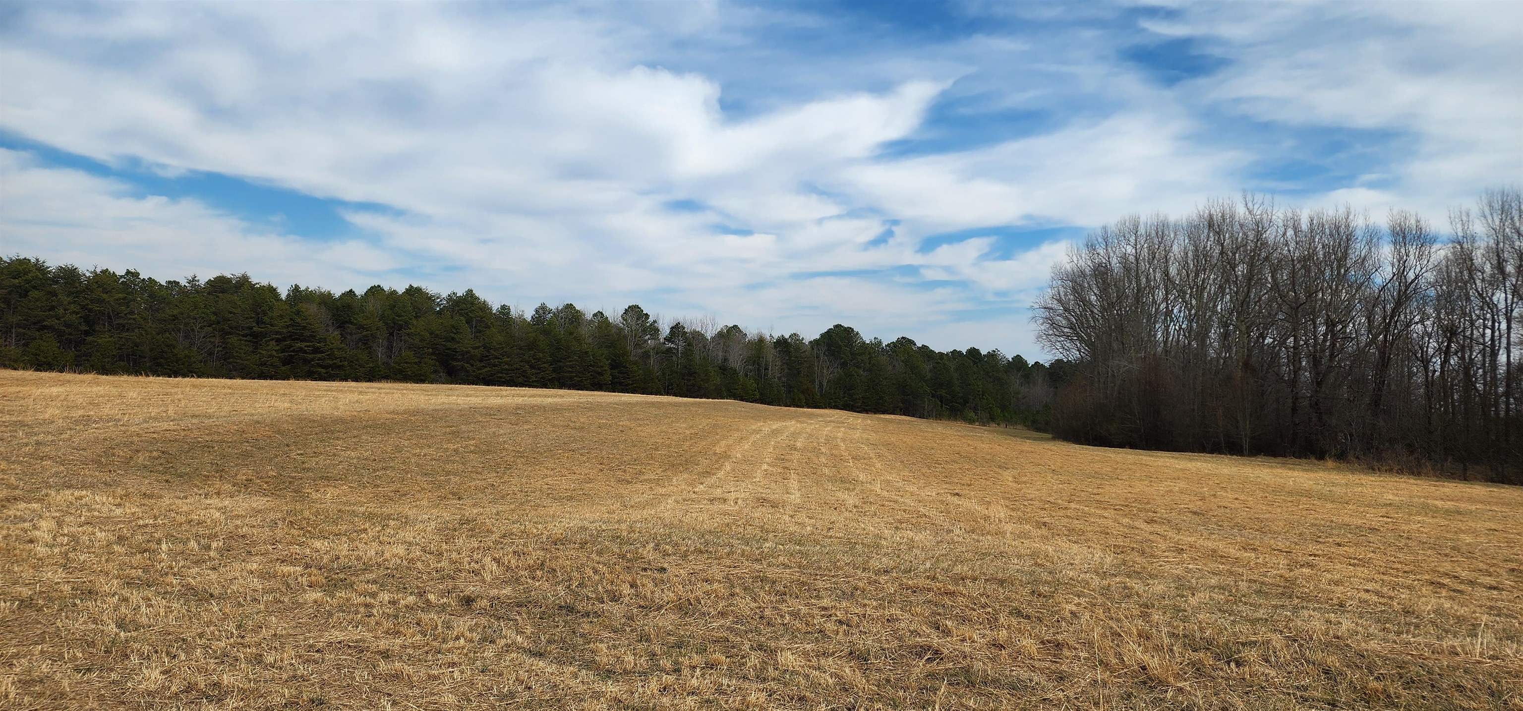 Lot 7 Ted Smith Road Rutherfordton, NC 28139 - Photo 5 of 21