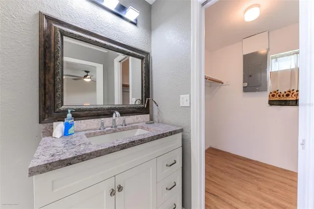 a view of a yard with an tree