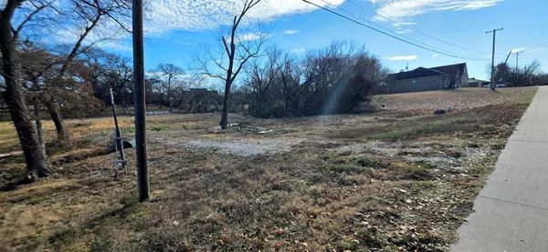 a view of a yard with a tree