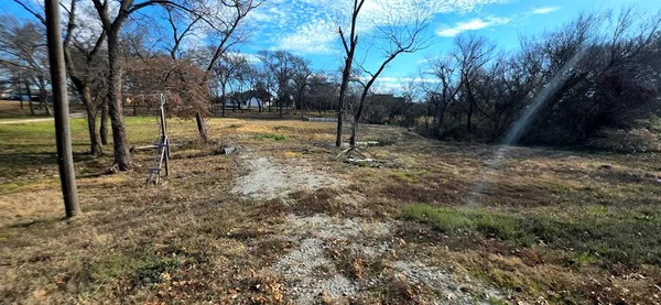 a view of a yard with a tree