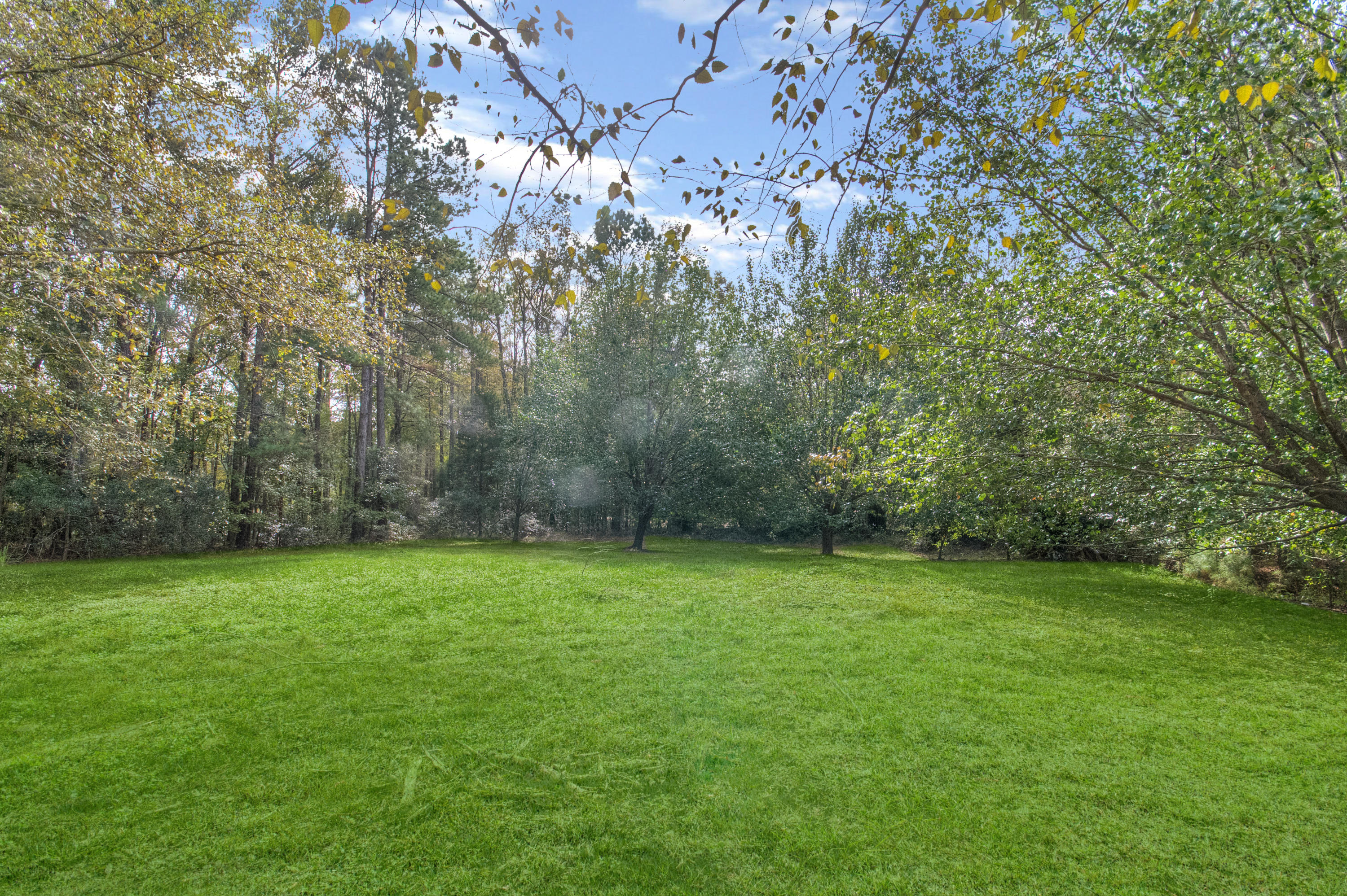 5576 Jenks Mongomery Road Ravenel, SC 29470 - Photo 20 of 20 IMG_4634_5_6