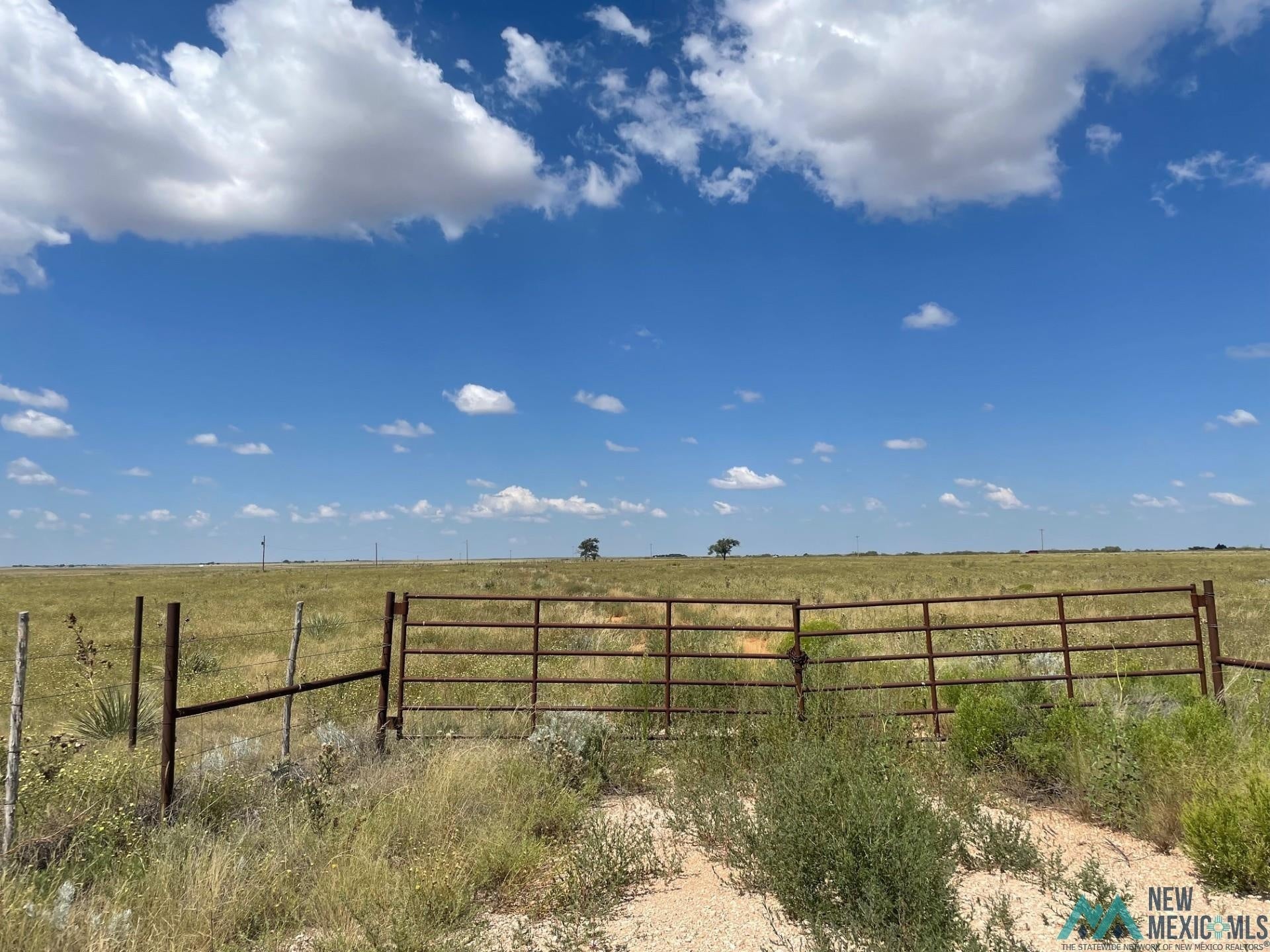 South Roosevelt Road West Portales, NM 88130 - Photo 1 of 1 Gallery Image 1