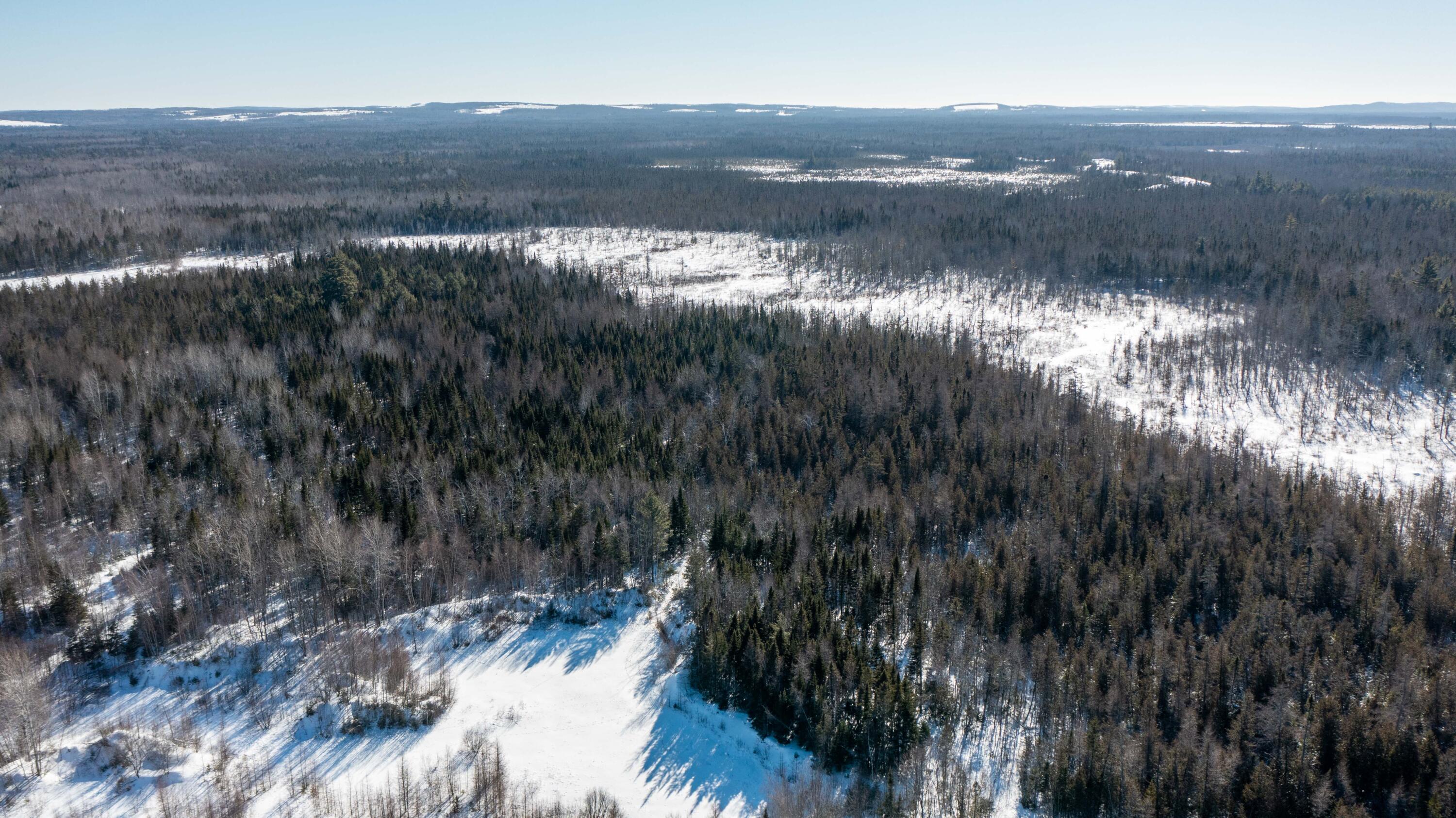 2 R 159/ Belvedere Road Crystal, ME 04747 - Photo 41 of 44 3900 +_- Acre Kingdom Parcel(41)