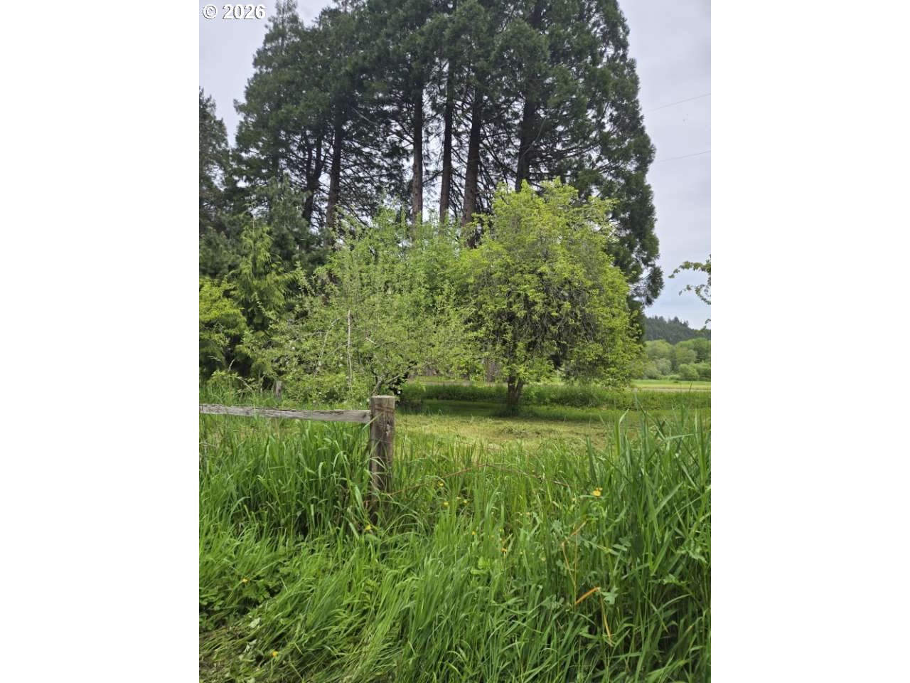 10195 Sweet Creek Road Mapleton, OR 97453 - Photo 9 of 9